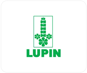 lupin
